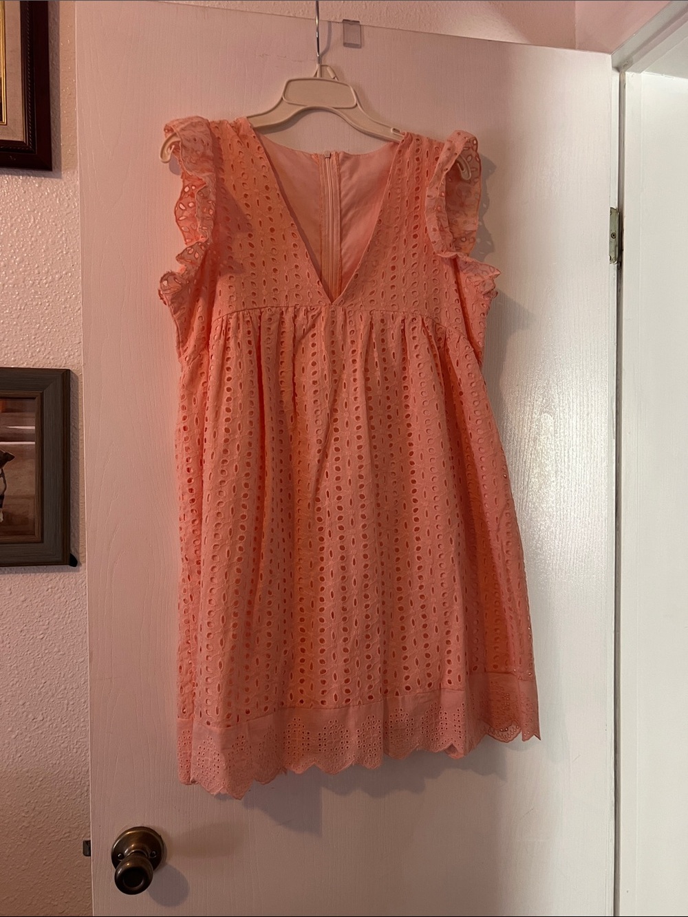 Women's Coral Eyelet Mini Dress with Ruffle Sleeves